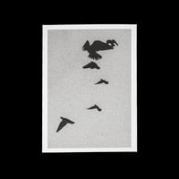 "BIRDS WAVES"  argentique 18x24cm