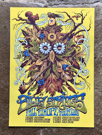 Image 2 of Billy Strings, Europe Tour '25 AP's Reg & Foil
