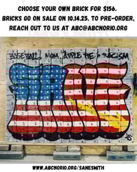 Image 3 of SaneSmith x ABC No Rio Brick