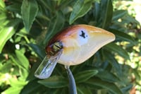 Image 8 of SPEEDBAITS Custom Airbrushed Lucky Craft 2.5 Squarebill CLONE 4475