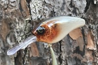Image 7 of Custom Airbrushed Crankbait 4517