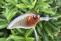 Image 5 of Custom Airbrushed Crankbait 4541