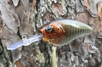 Image 6 of Custom Airbrushed Crankbait 4541