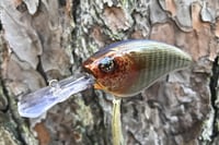 Image 7 of Custom Airbrushed Crankbait 4541