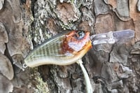 Image 10 of Custom Airbrushed Crankbait 4541