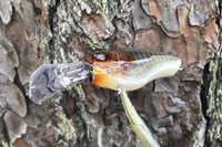 Image 11 of Custom Airbrushed Crankbait 4541