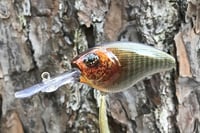 Image 12 of Custom Airbrushed Crankbait 4541