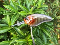 Image 13 of Custom Airbrushed Crankbait 4541