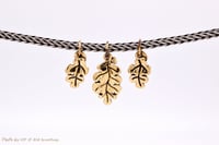 Image 1 of Oak Leaves - LLEE