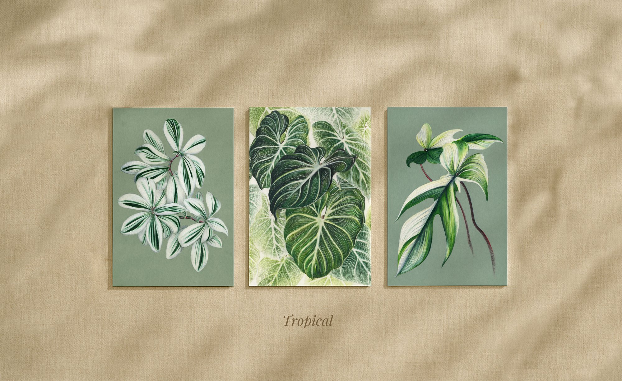 Image of Botanical Card Trios 