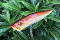 Image 5 of SPEEDBAITS Custom Airbrushed Topwater Popper 4616