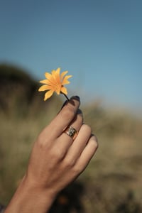 Image 1 of Bague Hirondelle