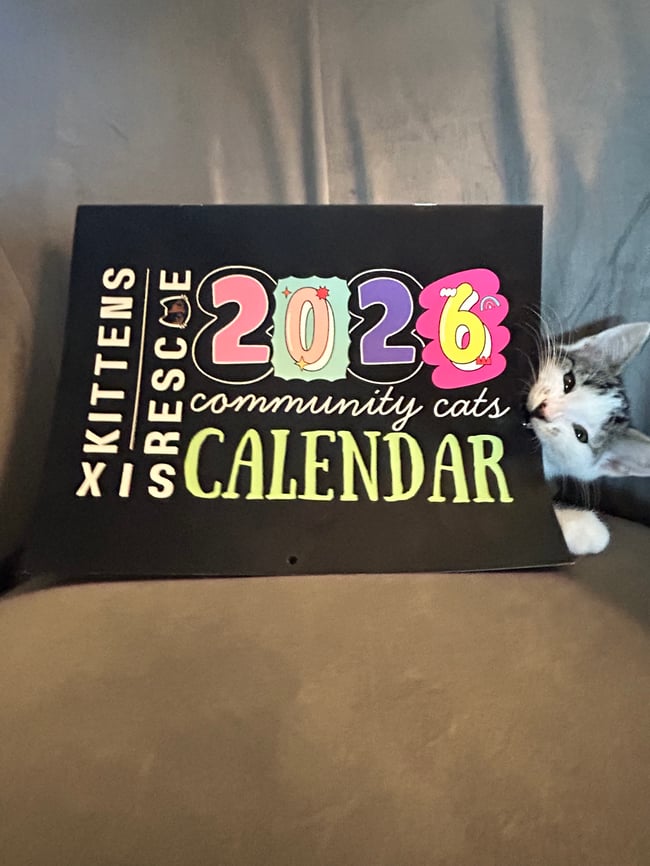 2026 Community Cats Calendar