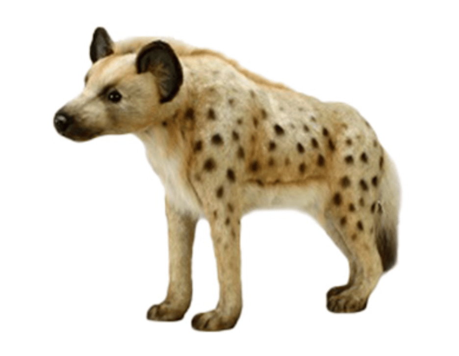 Image of Life Sized Animals (Deer, Hyena or Penguin)