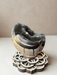 Image 2 of Septarian Egg