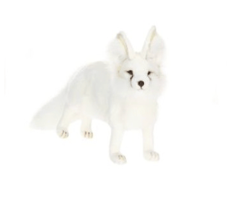 Image of New Animal Friends!