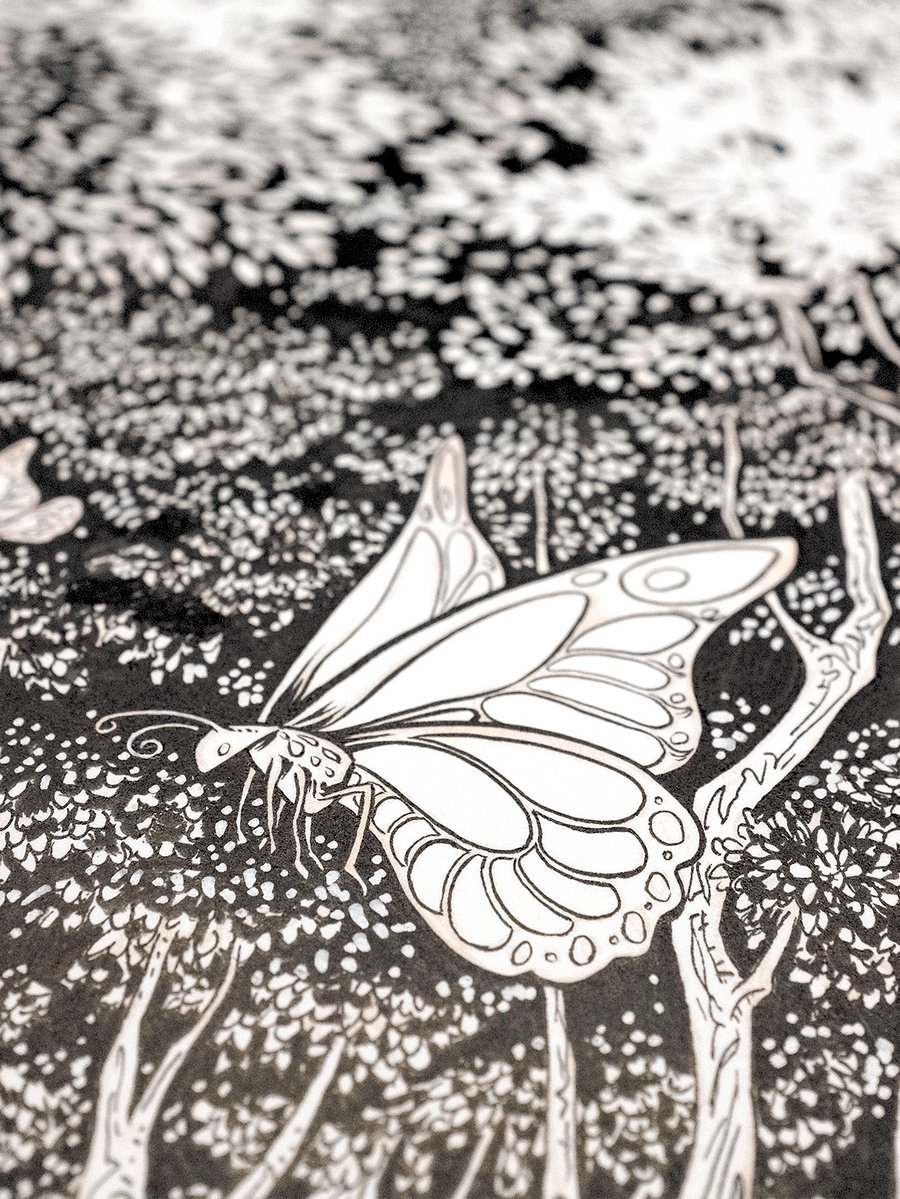 Image of Original Ink Drawing - Widespread Panic Capitol Theatre '25