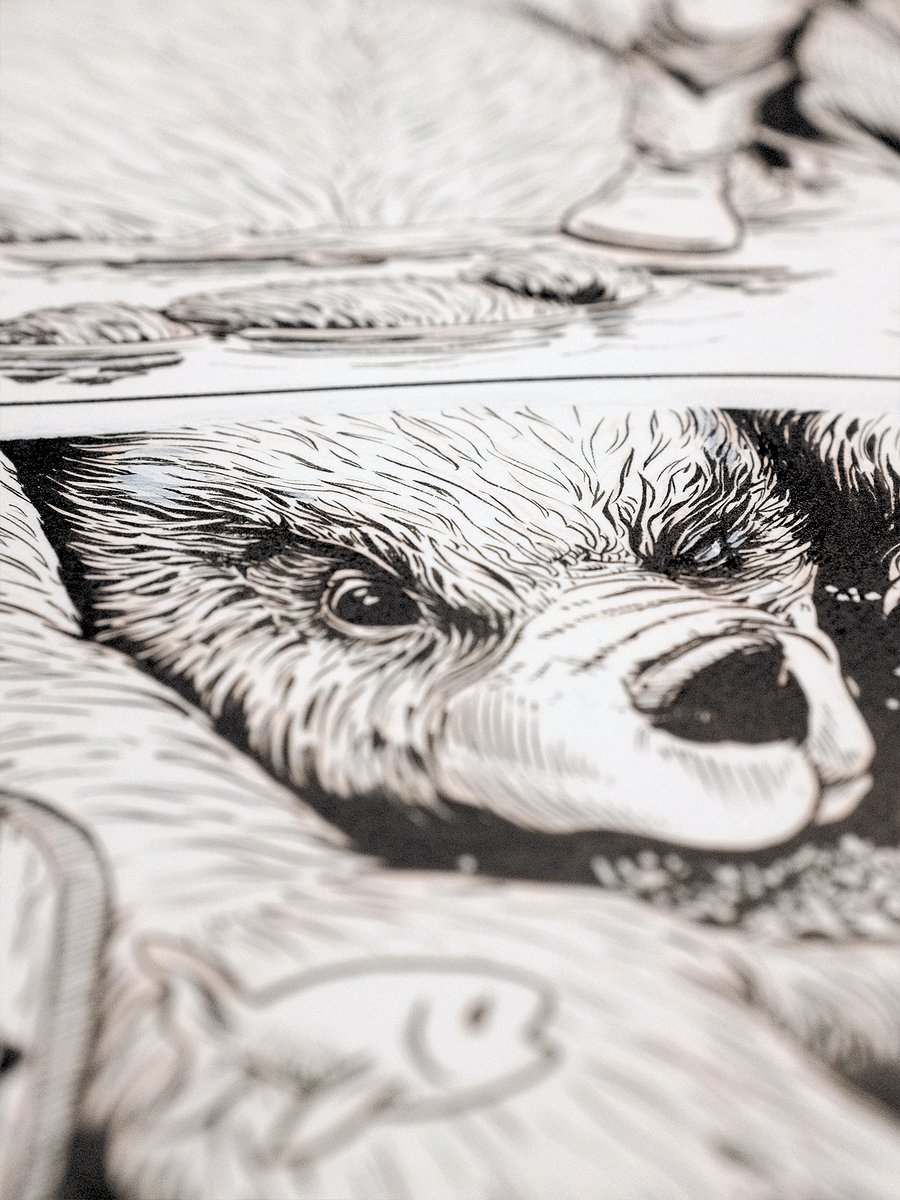 Image of Original Ink Drawing - Widespread Panic Capitol Theatre '25