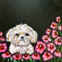 Image 1 of Night Bows