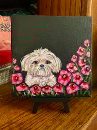 Image 2 of Night Bows