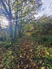 Lucky Dip *GIFT FROM THE UNIVERSE* free grab bags!!!