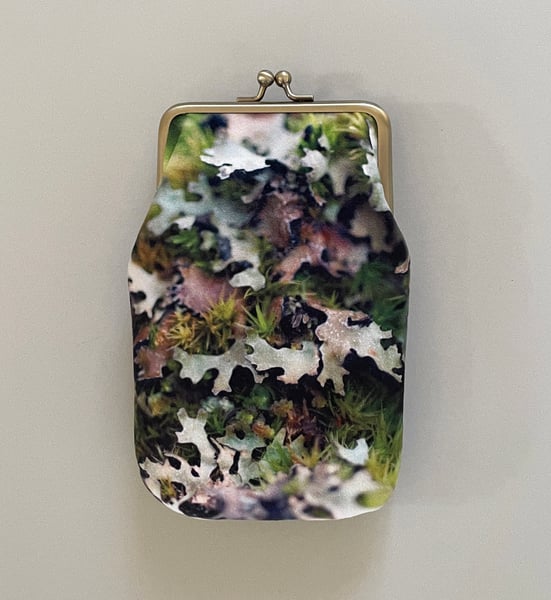 Image of Mosses, velvet glasses case with kisslock frame