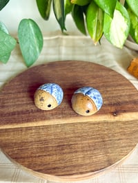 Image 1 of Blue Spatterware Beetles