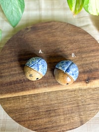 Image 3 of Blue Spatterware Beetles