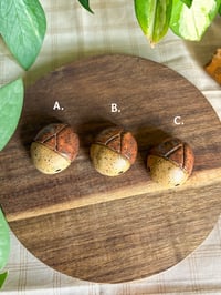 Image 3 of Shino Beetles