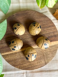 Image 2 of Ladybugs