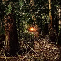 Image 5 of Sagittarius Perfume (Stinging Nettle, Sage, Spikenard, Tobacco)