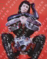 Image 1 of SHEN LIMITED EDITION POSTER 2