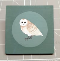 Owl Painting