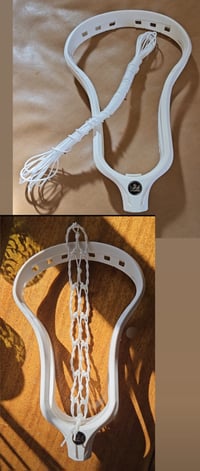 Strung Darkhorse Head