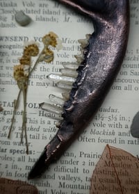Image 3 of Crystal Teeth Jawbone Amulet