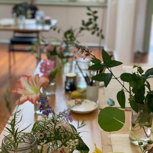 Image of MONDAY ART WORKSHOP - Walk + Draw in the Summer Garden, 22 December,Mt Coot-tha Botanic garden