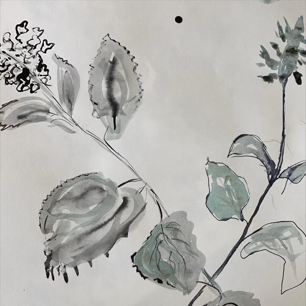 Image of MONDAY ART WORKSHOP - Walk + Draw in the Summer Garden, 22 December,Mt Coot-tha Botanic garden