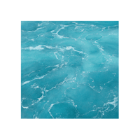 Image 1 of Pacific Seafoam 