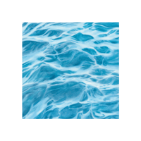 Image 1 of Elwha Waves