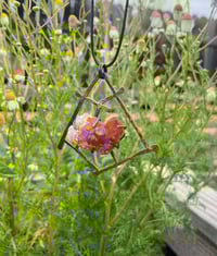 Image 2 of Ignite. Earthbound Red Quartz and Copper Pendant 