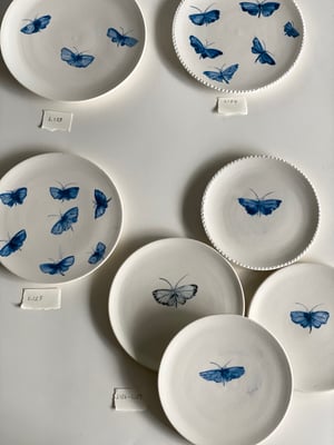 Image of STUDIO SALE - 19 DECEMBER, Richard Randall Studio, Mt Coot-tha Botanic garden