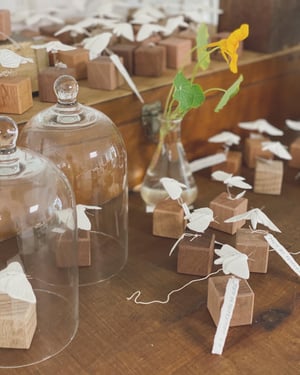 Image of STUDIO SALE - 19 DECEMBER, Richard Randall Studio, Mt Coot-tha Botanic garden