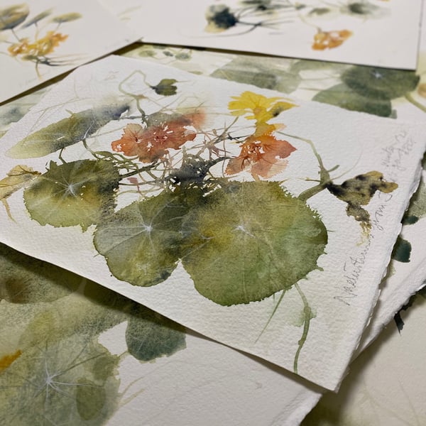 Image of STUDIO SALE - 19 DECEMBER, Richard Randall Studio, Mt Coot-tha Botanic garden