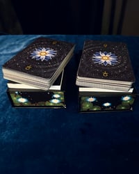 Image 3 of Sistar Bundle