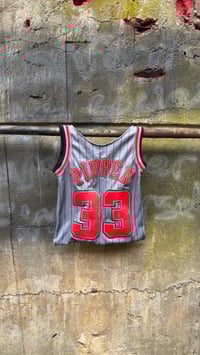 Image 2 of The Robin Bag