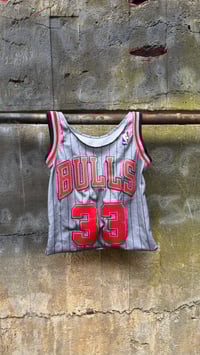 Image 1 of The Robin Bag