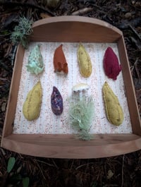 Image 2 of Banana Slugs