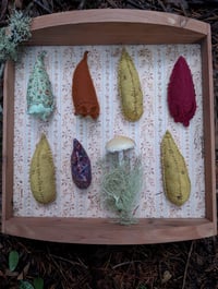 Image 4 of Mud puddles 