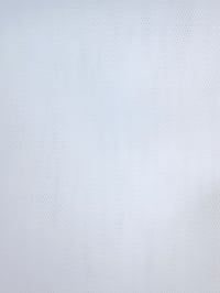 Italian Tutu Net White