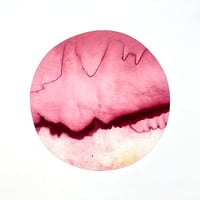 Image 1 of Pink Moon (Large) 